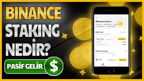 Stake Nedir ve Nasıl Kullanılır